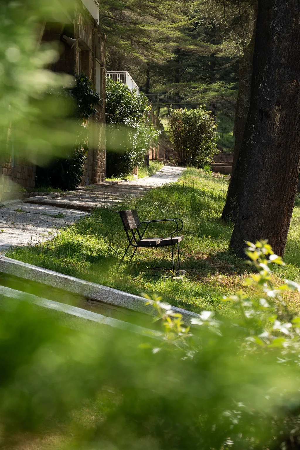 Zona verde del centro con banco entre los árboles